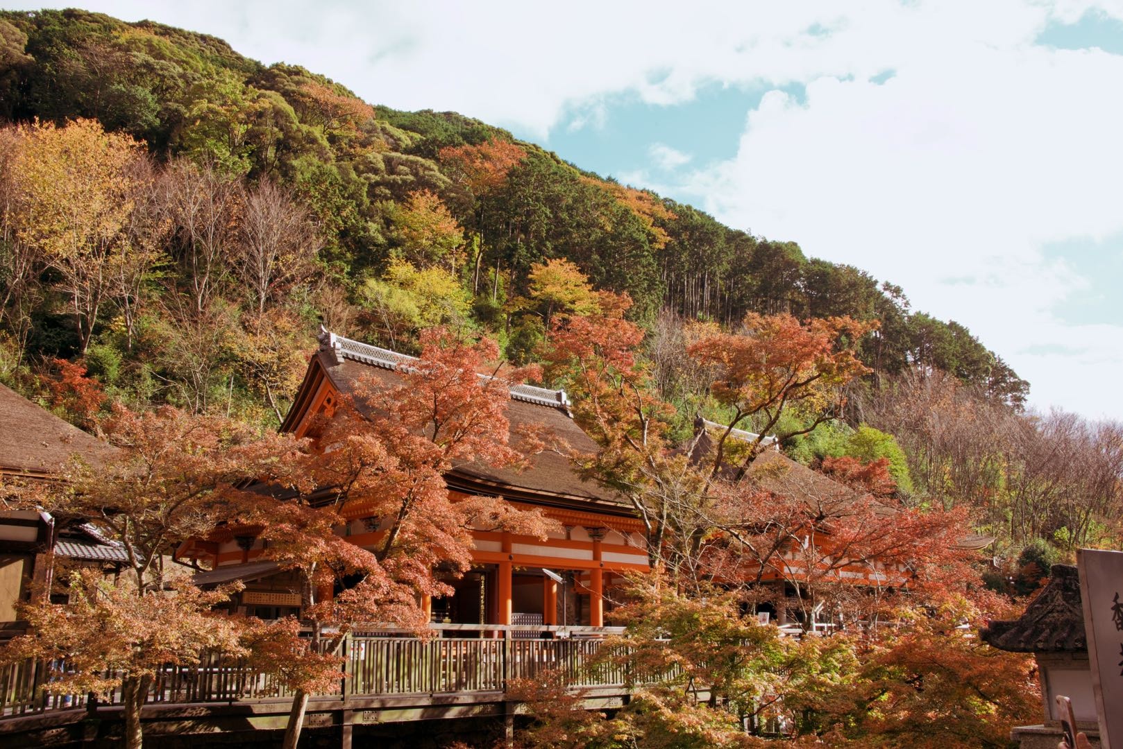 日常edc必备物品,各位的edc日常携带都有些什么