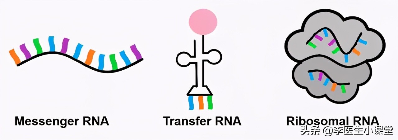 不同的阿奇霉素副作用不一样,阿奇霉素和头孢哪个消炎好一点