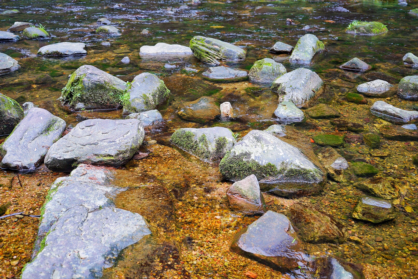 张家界雪季攻略,冬天湖南张家界攻略