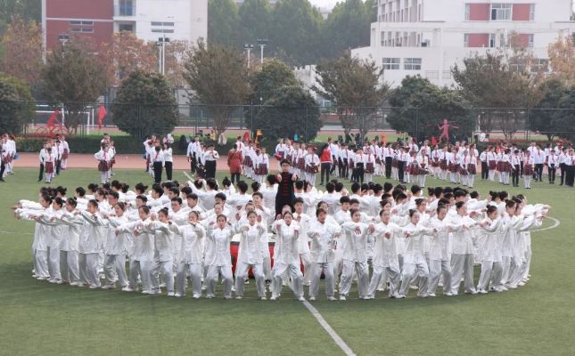 沁阳市长杯开幕式,焦作市校园足球市长杯