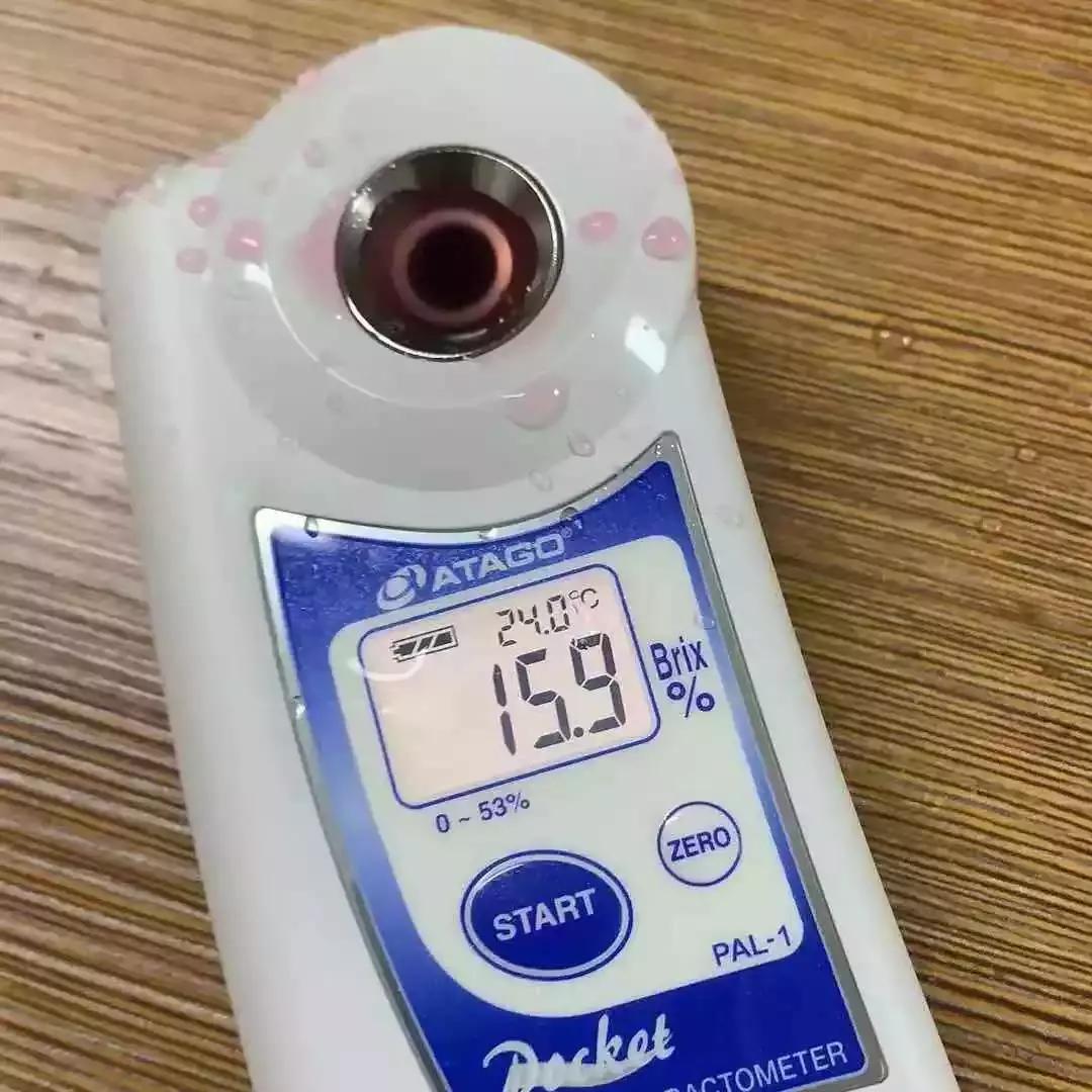 辰颐物语甜橙胶原蛋白,辰颐物语蜜糖