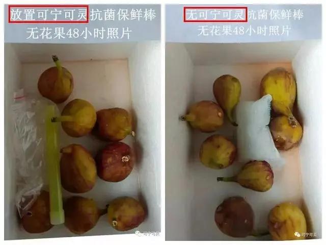 杀菌除味保鲜棒,德国冰箱保鲜除味棒