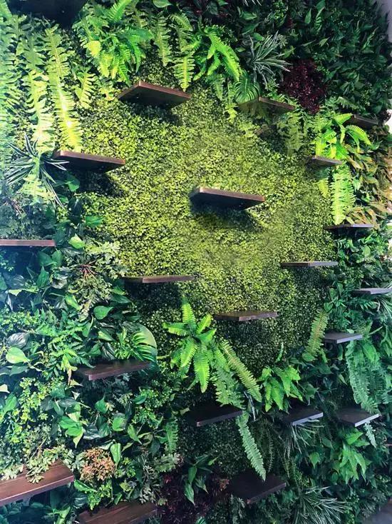 爱宠去世后该怎么办,爱宠离世过度伤心