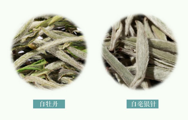 白毫银针茶叶介绍,白毫银针简介文字