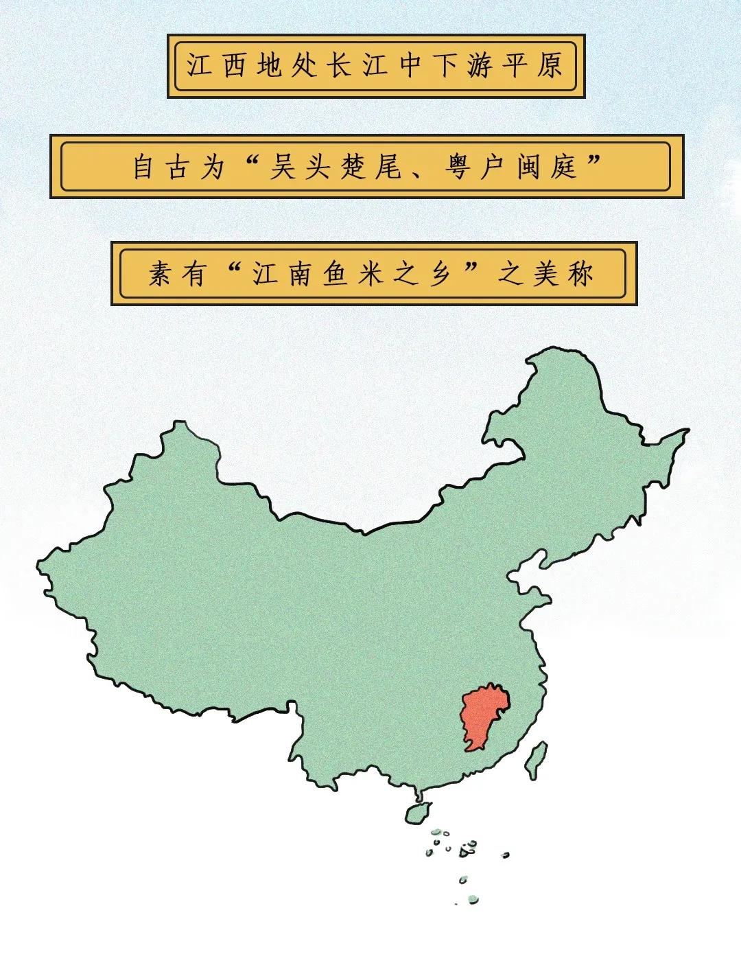 江西茶油树图片,江西茶油价格表