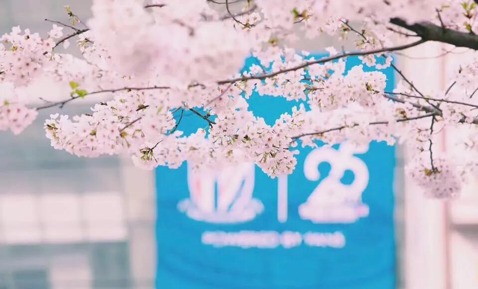 上海申花的战术和阵容,上海申花下赛季补强计划