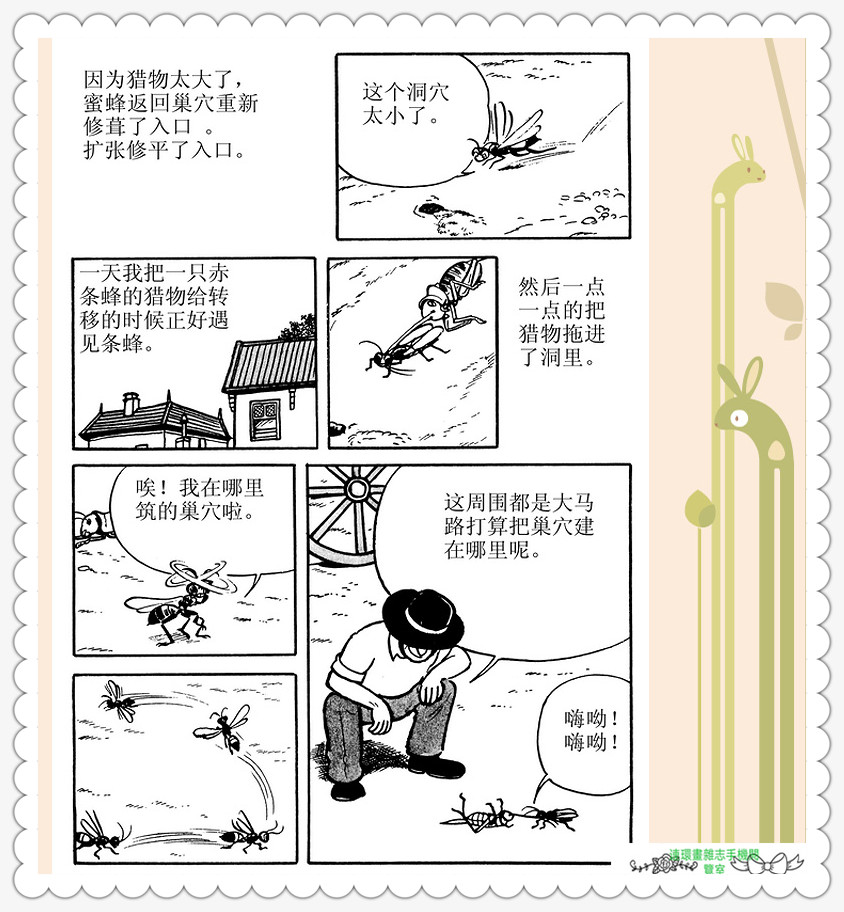 昆虫记法布尔动画片,昆虫记法布尔全套