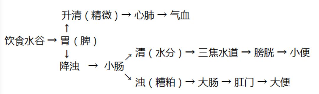 小儿推拿治疗宝宝脾胃疾病,值得收藏