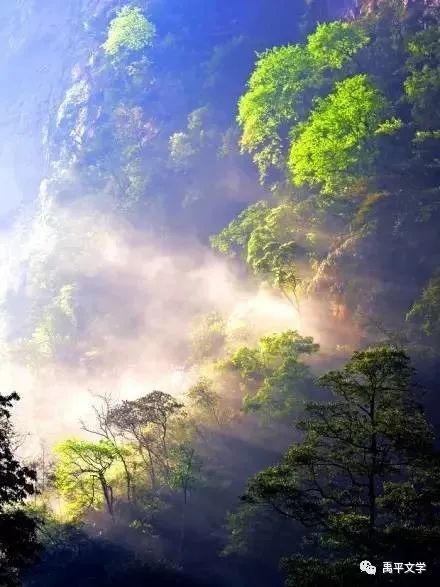 原子生命法则,原子生命法则是什么