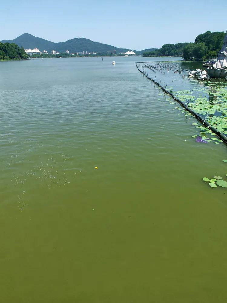 曾作为禁地，与外界隔绝二百六十多年的“玄武湖”，今日锣鼓喧天