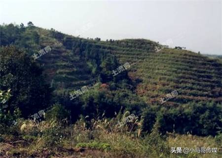 农村土地承包可以贷款吗,个人白户土地能贷多少钱