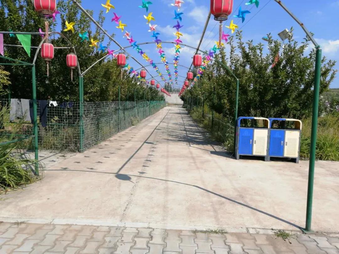 过五一，就来“农味儿十足”黄合少！