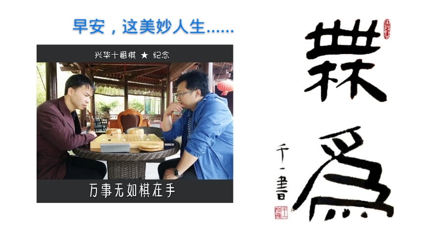 弈城9d,弈城9d是什么水平