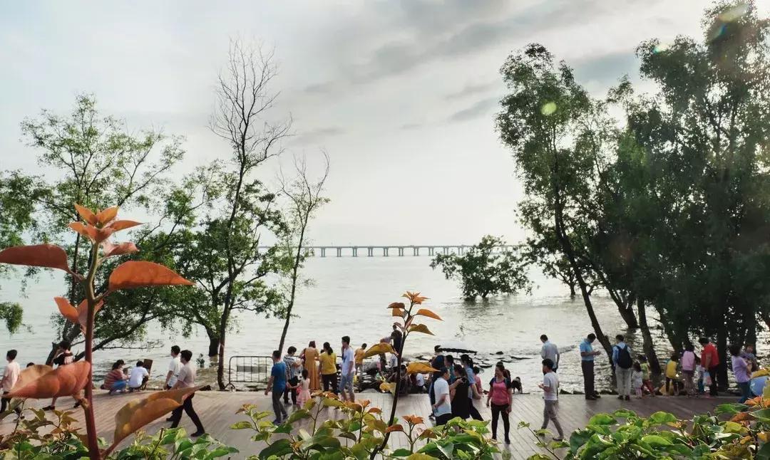 鍥烘垗杩欓噷鍝噷鏈夊ソ鐜╃殑,鍥烘垗鐮佸ご杩欓噷娴蜂笂鏄粈涔堟ˉ