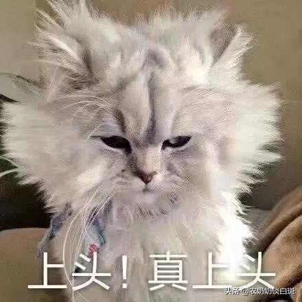 白癜风能吃螺蛳粉吗,一碗螺蛳粉就能治好的感冒