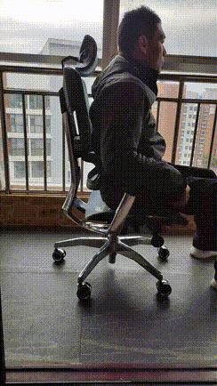 人体工学椅选择双背还是单背,人体工学椅单买靠背吗