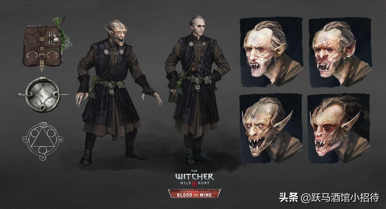 巫师三高阶吸血鬼所有剧情,猎魔人高阶吸血鬼