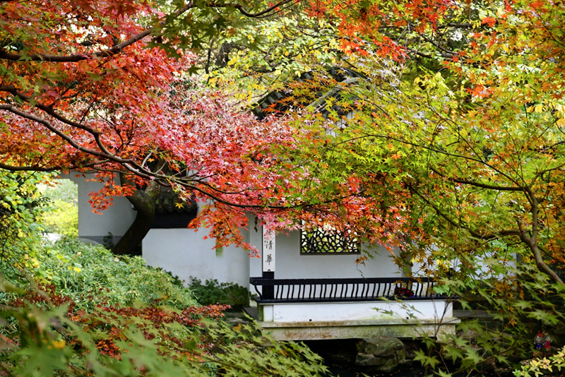 康熙乾隆12次下江南，却去了惠山古镇14次，一个小镇到底藏了啥？