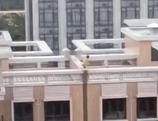 小女孩玩的死亡游戏,小女孩天台玩耍危险后续