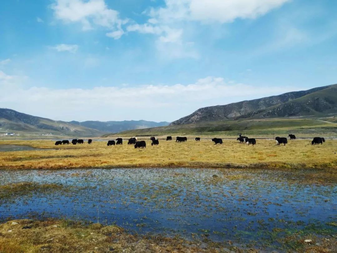 论起亲戚间的年礼，那个个都是”戏精“