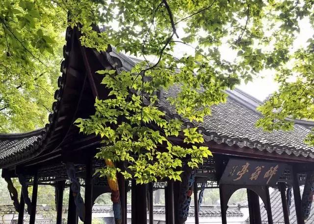 亭台楼阁轩榭廊舫的区别简笔画,关于亭台楼阁轩榭廊舫的视频