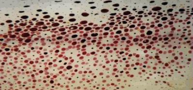 拟态章鱼科幻般伪装全过程,顶级伪装大师拟态章鱼