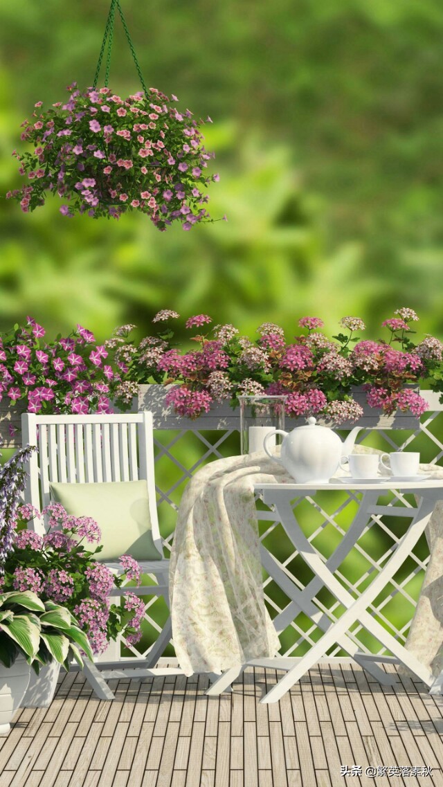 素秋送礼物——繁英心情三起三落