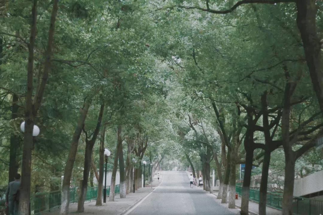 东南大学最美校花,全国公认大学最美校花