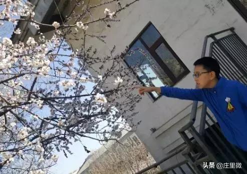 石家庄周边旅游一日游免费,石家庄周边一日游10月中旬