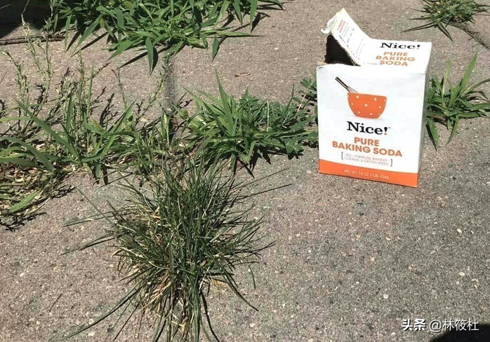 日常生活中的小苏打,最新生活小窍门小苏打