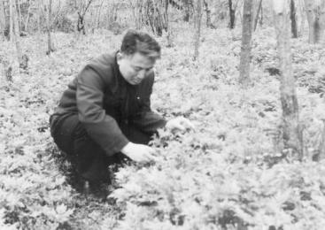 没有经费仍然坚持研究,他揭开了天麻生长的全部奥秘,药农为他立碑塑像