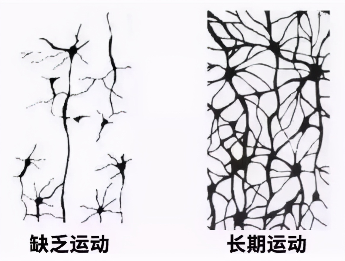 李玫瑾运动完整视频,李玫瑾建议四岁孩子要多运动