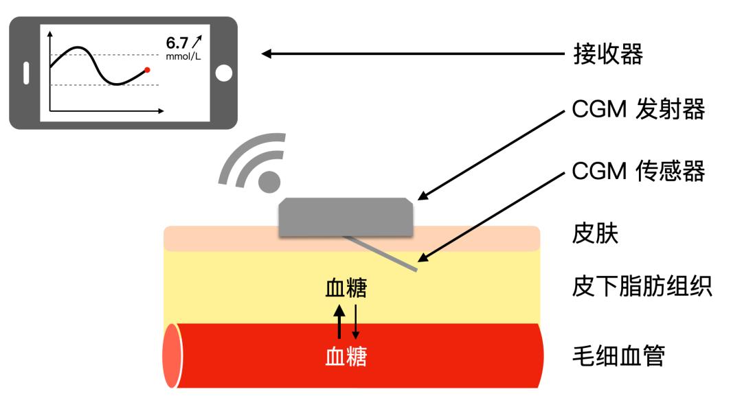 测血糖不用手指的靠谱吗,测血糖不用手指血可以吗