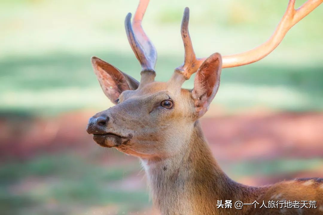 中国最适合自驾游的十条绝美公路,中国最顶级的自驾进藏公路