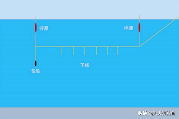 串钩钓草鱼方法与技巧,春夏季用串钩如何钓鲤鱼草鱼