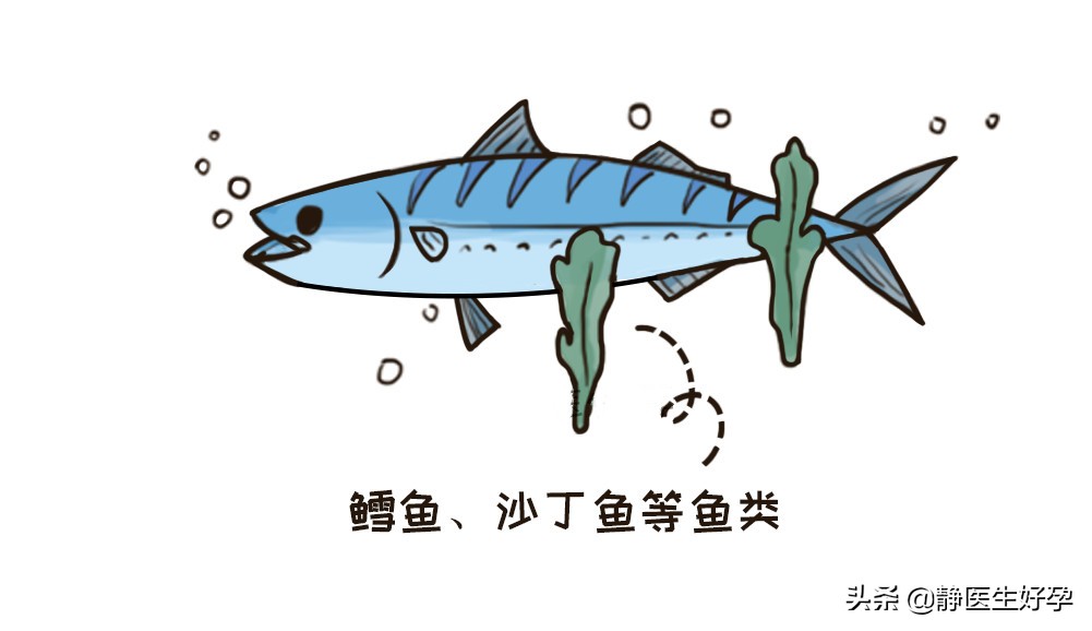 静医生备孕：只需一招，就能帮你把卵泡养的又大又好！