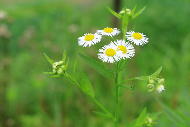 一生聪明却输给爱情的5大星座,一生聪明却输给爱情的三大星座