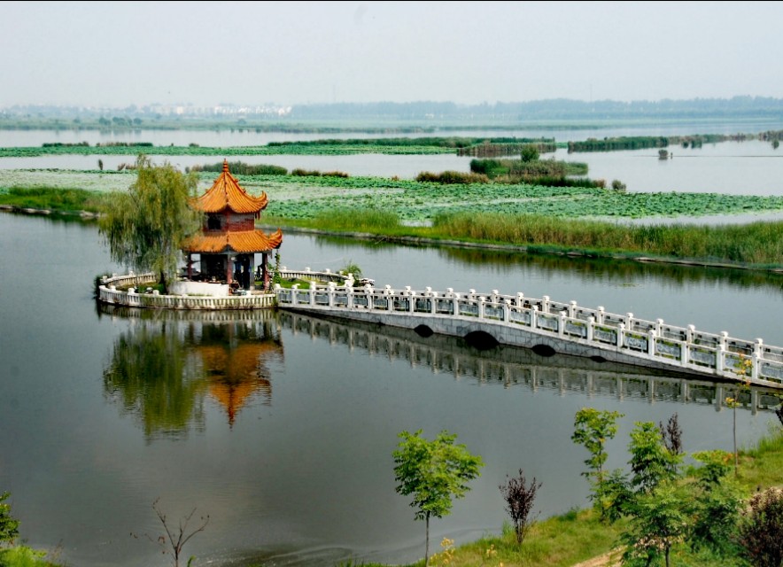 淮阳龙湖有没有遗址,淮阳平梁台考古遗址