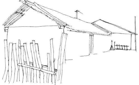 速写风景初学者入门教程,速写风景初学者入门教程植物