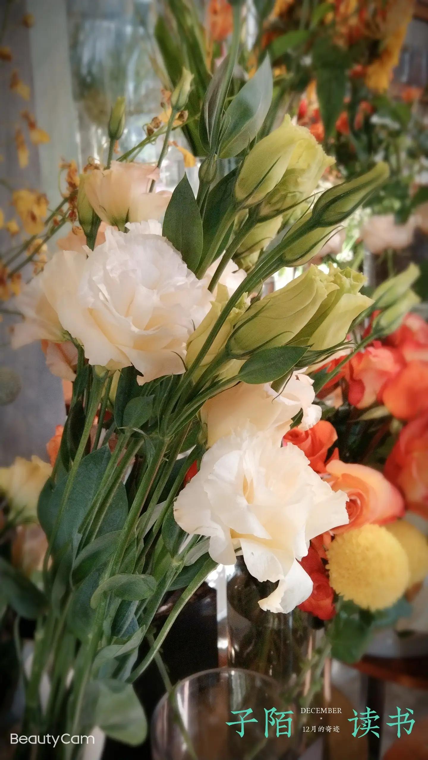 《自己的花是让别人看的》:我与季羡林先生的隔空相望……