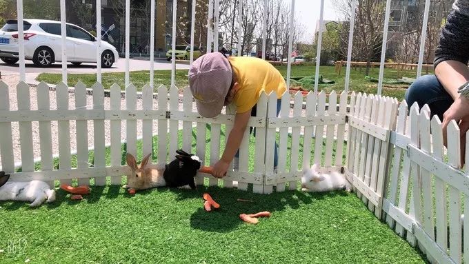 鲅鱼圈最新的旅游攻略,鲅鱼圈最强攻略