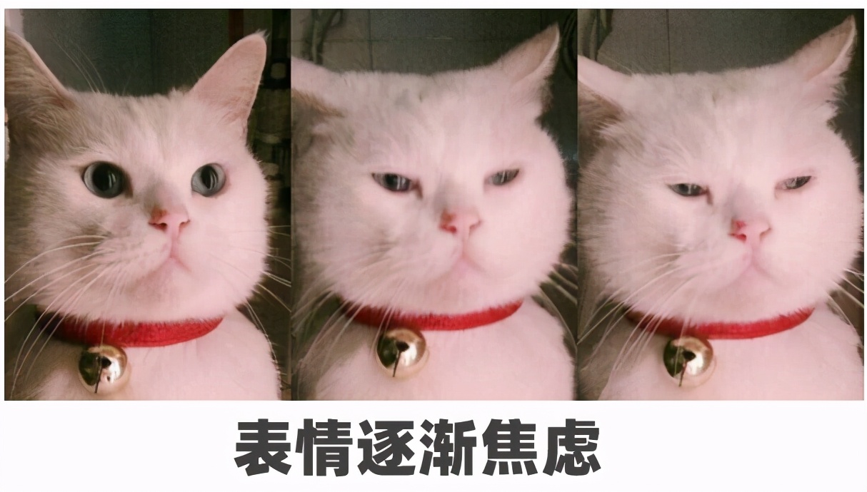 逍遥小妙招,如何才能有效缓解孩子的分离焦虑