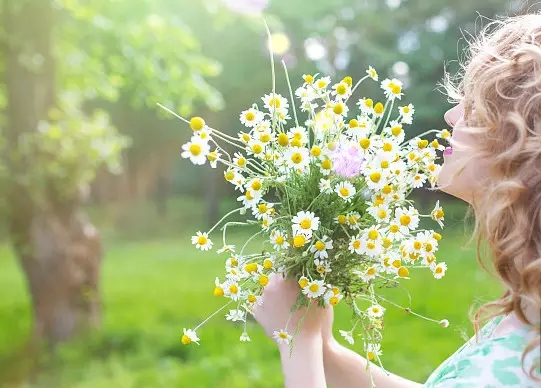 花语大全：各种鲜花的花语，不同颜色寓意也不一样啊