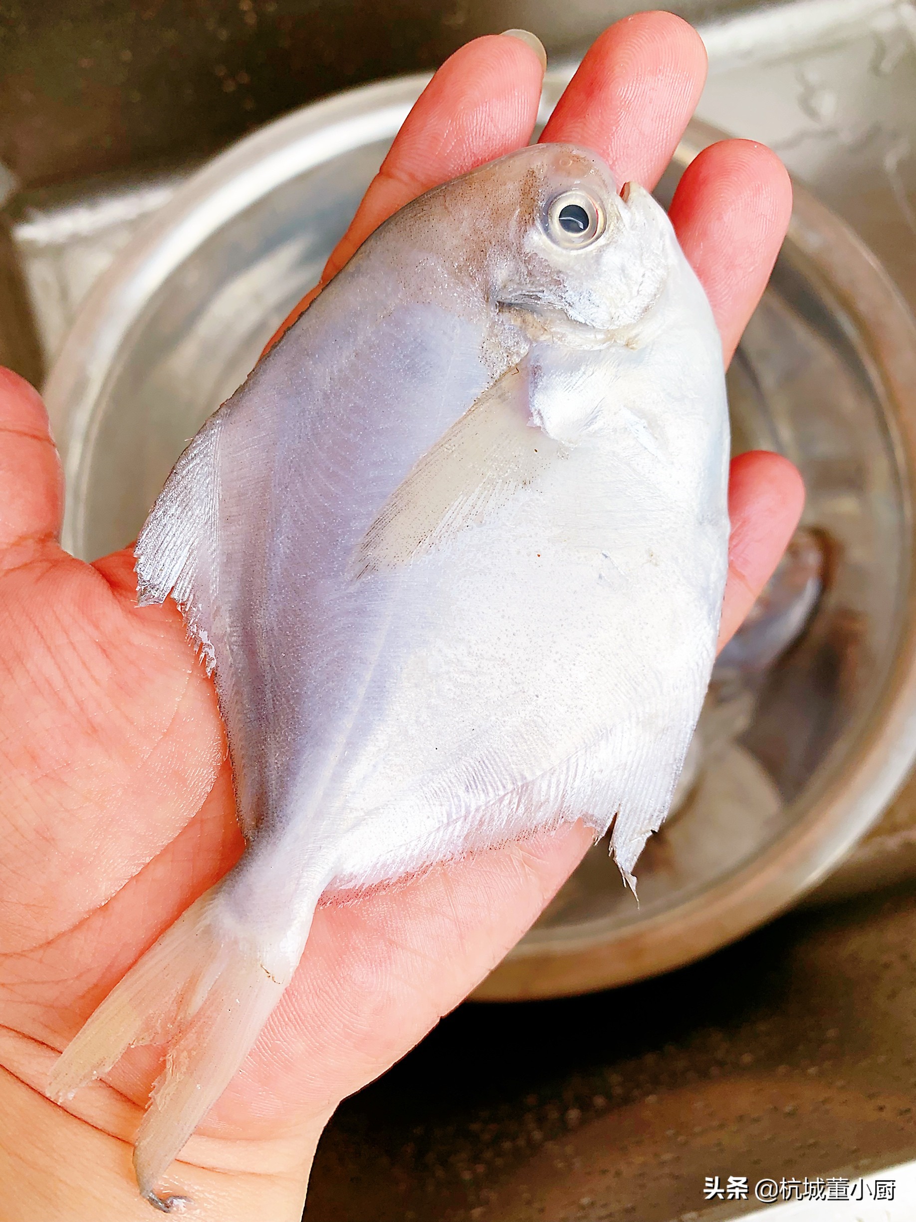 大厨红烧鲳鱼最正宗的做法,蒜子鲳鱼
