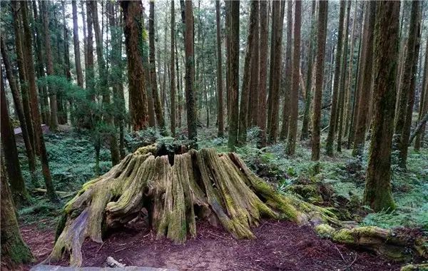 台湾攻略台湾自由行,最新台湾自由行攻略