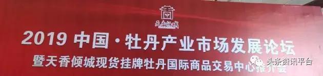 宗易汇大蒜期货电子盘界面怎么换,牡丹国际大蒜电子盘交易历史数据