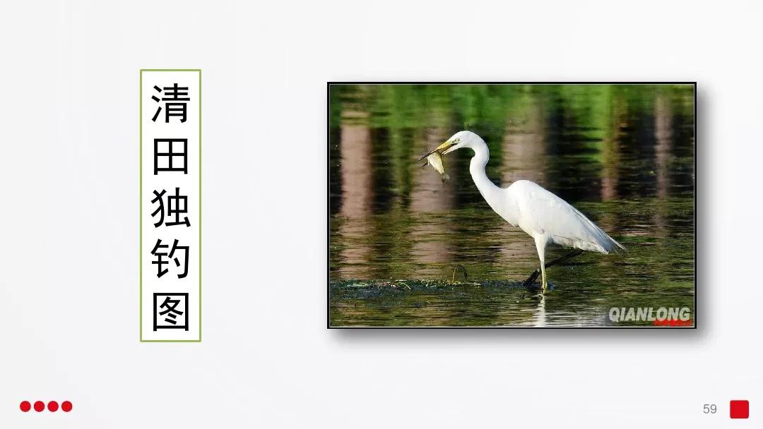 五年级部编版语文白鹭讲课视频,部编小学语文五年级上册白鹭课件