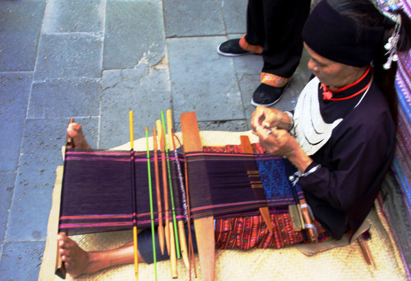 我的海南之旅作文,从海口到三亚感受海南的无限魅力