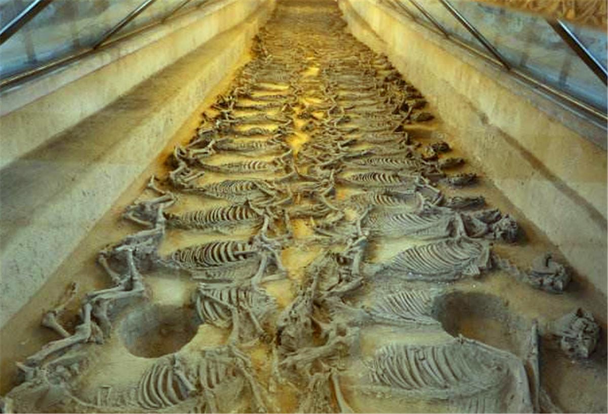 古代大墓的内部都是怎么样的,中国古代哪三个墓不愁挖