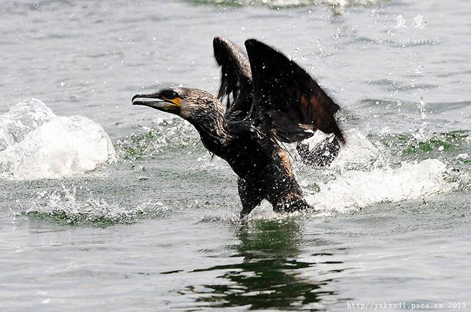 洱海旅游景点攻略,西安洱海旅游攻略必去景点
